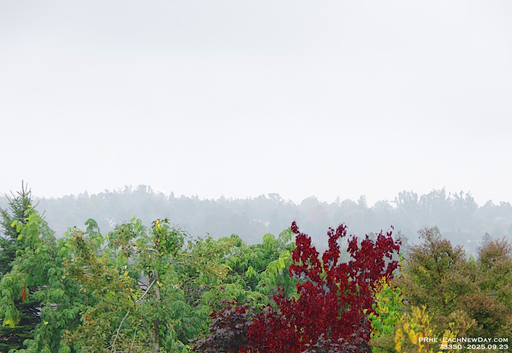 73350CrLeReUsm - Looking out over Orillia on a misty morning.JPG